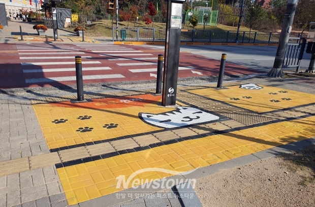 어린이보호구역 횡단보도 옐로카펫