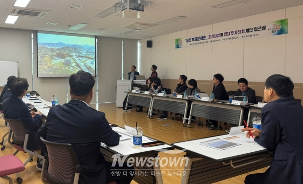 공주시가 지난 11월 25일과 26일 한미경제인협회를 초청하여 웅진백제문화촌의 발전과 관광 활성화를 위한 민간기업 투자 워크숍을 개최했다.