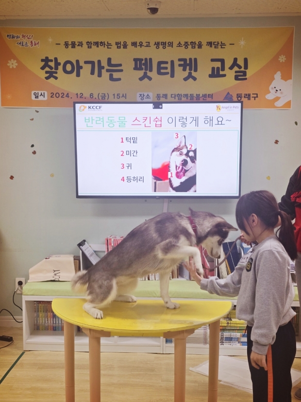 동래돌봄센터에서 허스키와 스킨쉽 방법을 배우는 초등학생