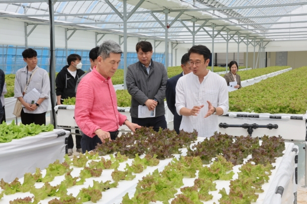 이강덕 포항시장이 지난해 기계면에 위치한 상추 분무수경재배 현장을 찾아 시설을 둘러보고 있다