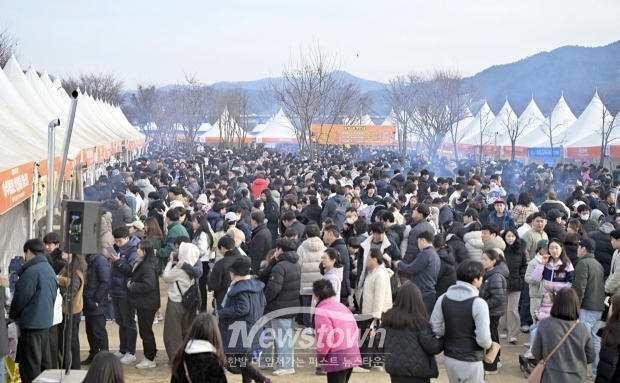 제8회 겨울공주 군밤축제