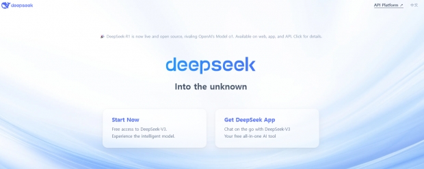 딥시크(DeepSeek) 온라인 페이지