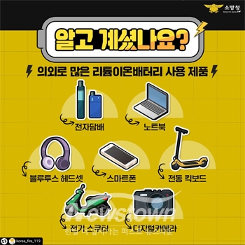 리튬이온배터리 제품