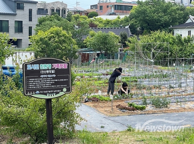 / 사진=여수시청 제공