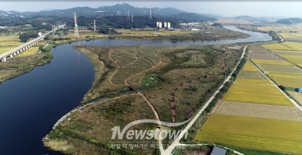 곡교천 하류 물억새 군락지
