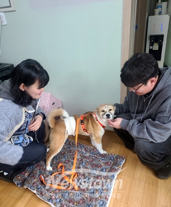 유기동물 입양