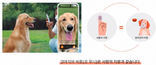 반려동물 비문(코주름) 등록 안내/고양시<br>
