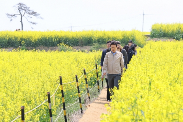 지난 10일 유채꽃 경관단지를 찾은 이강덕 포항시장
