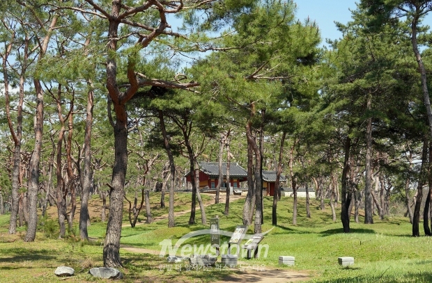 고마나루(보존여행지)
