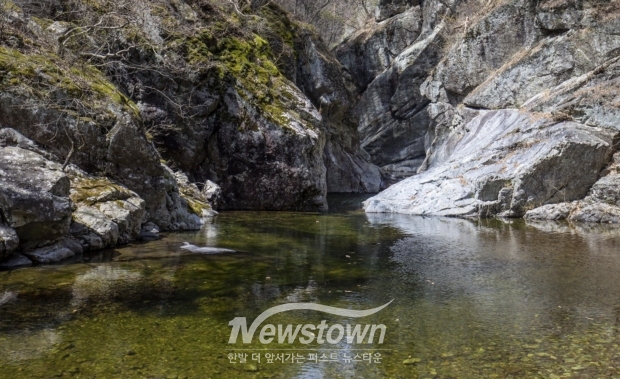 신선계곡/울진군청