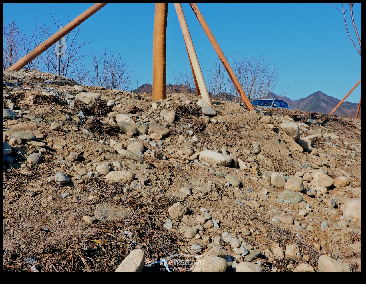 나무를 심은지 2개월후 현장의 부실공사 실태를 남긴 사진
