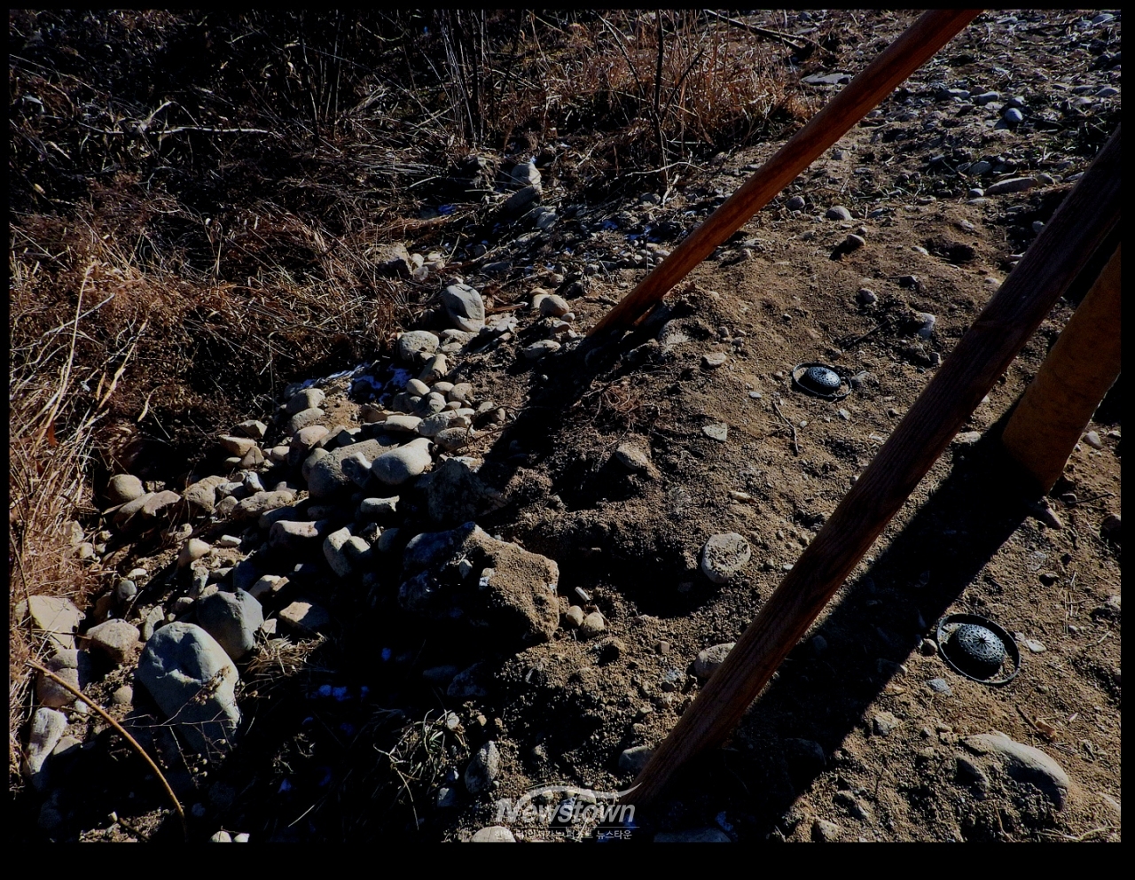 나무를 심은지 2개월후 현장의 부실공사 실태를 남긴 사진