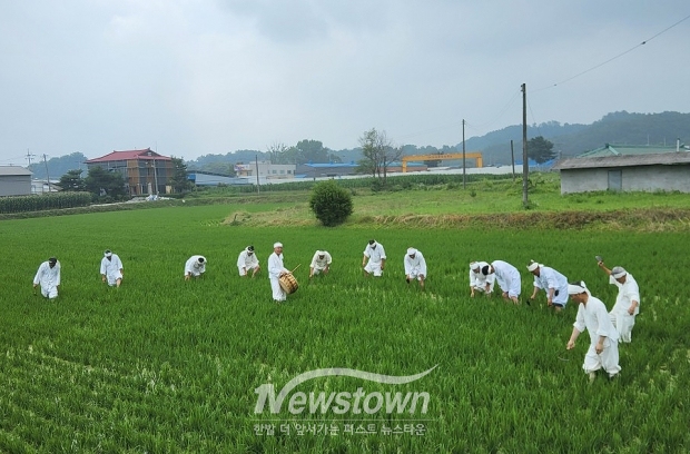 마수리 농요 재현 행사