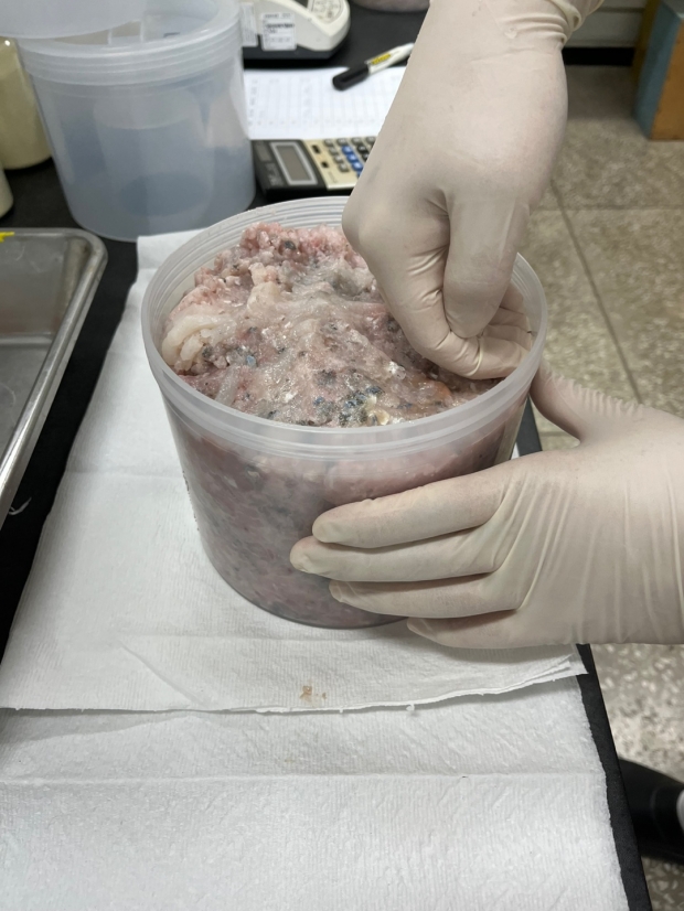 경주시, 2025년도 2분기 관내 수산물 등 방사능 분석 실시