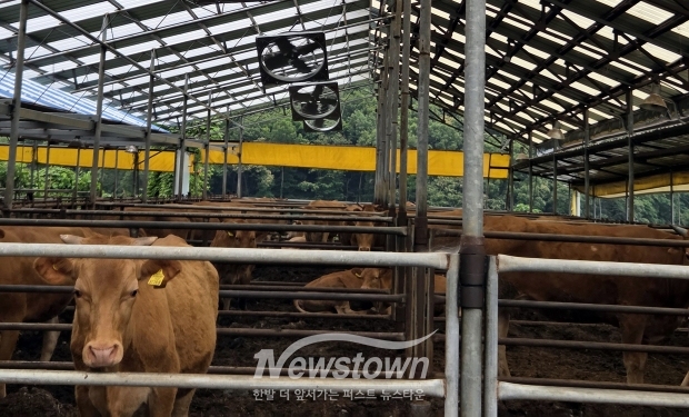 축산농가 폭염 피해 예방 당부