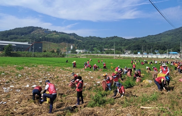 수해복구 자원봉사 활동