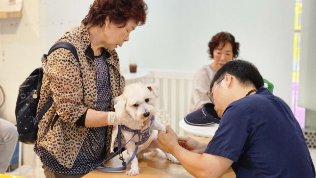 박현수 숲동물병원 원장 건강검진 진행