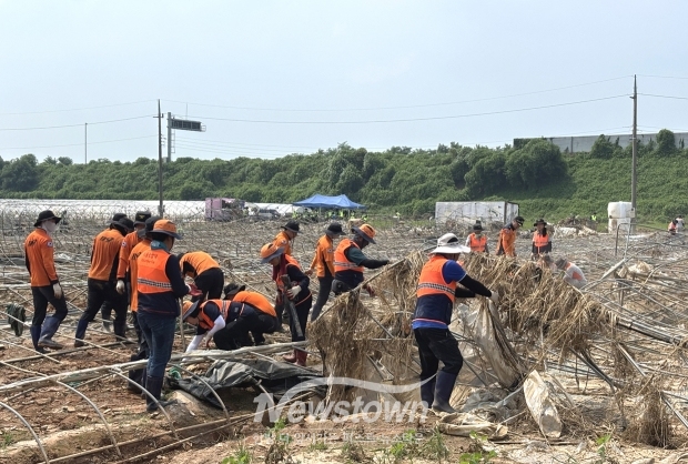 예산군 삽교·신암면 수해복구 봉사활동