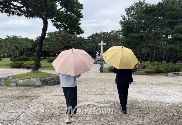 관광지 양우산 무상 대여 서비스