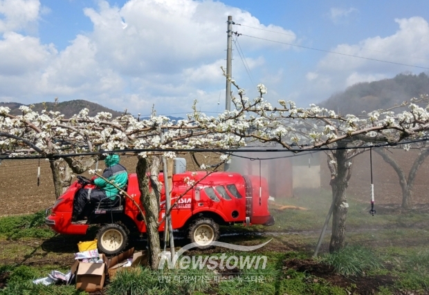 원예작물 병해충 방제 약제 무상 지원