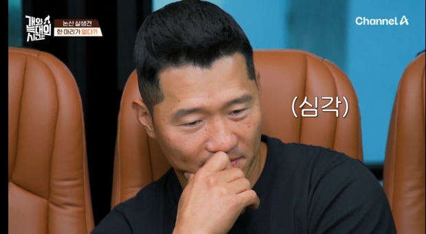채널A 개와 늑대의 시간