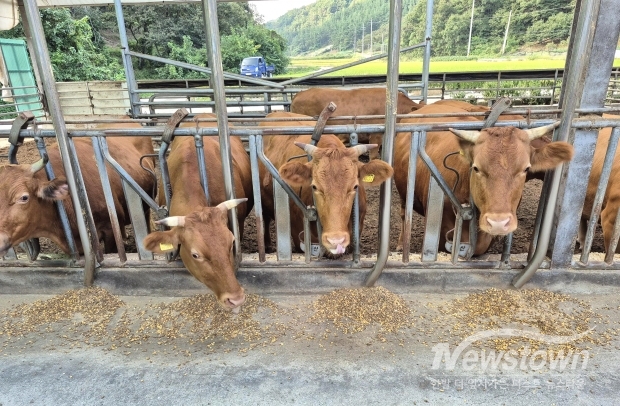 한우-경상남도청