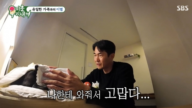 SBS 미우새