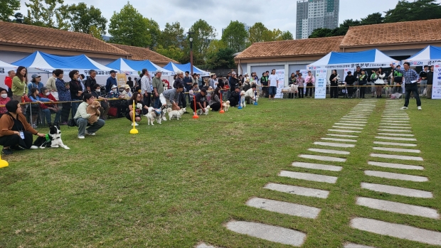 신라대학교 반려동물학과 김병석 교수의 진행