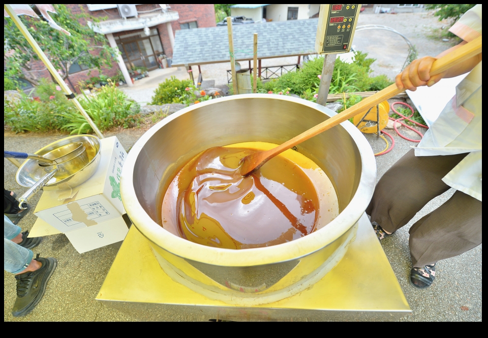 2024년 자료사진