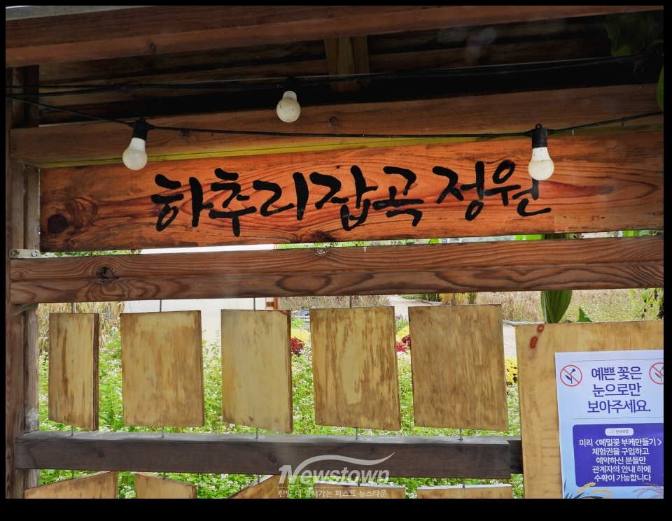 인제읍 하추리 도리깨축제의 모습들