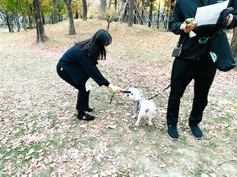 동물 미등록 집중 단속 추진/사진 김해시