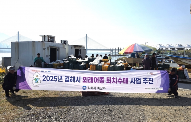 외래어종 퇴치수매 사업 현장/사진 김해시