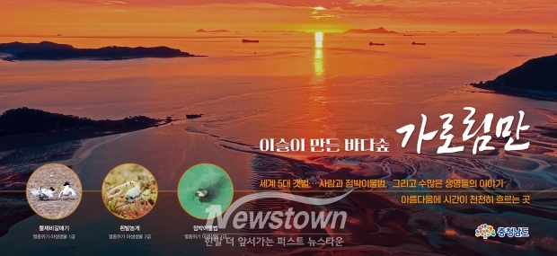 세계 5대 갯벌 가로림만