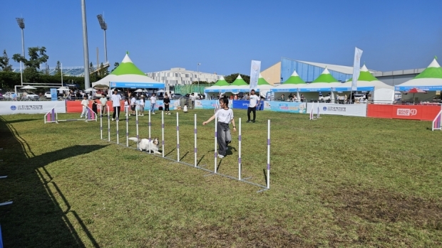 려동물 문화축제 행사 현장