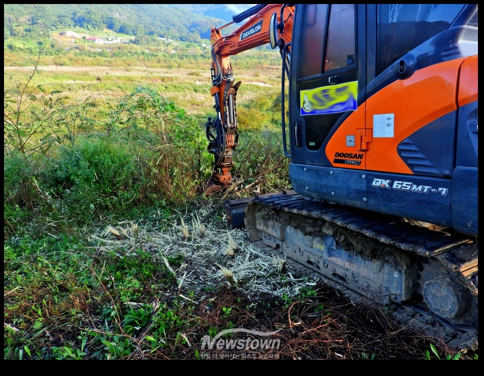 문막행정복지센터에서 작업한 제초작업후의 상태와 제초작을 하기전의 상태의 현장 사진