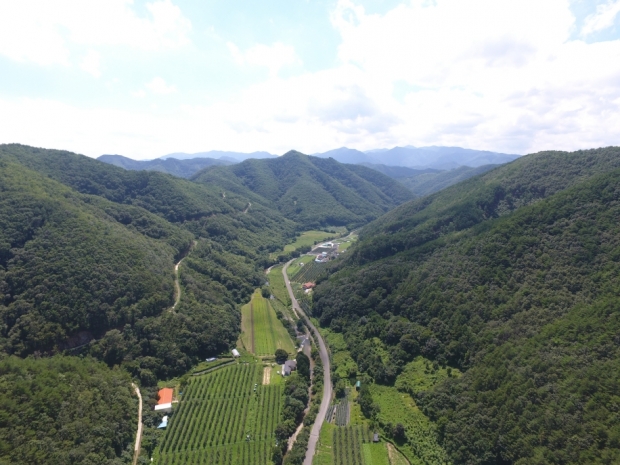 2020년 9월 선도산림경영단지로 최종 선정된 석계리 산림 전경