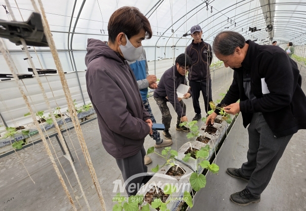 수경멜론 찾아가는 현장 컨설팅(사진 / 청양군 제공)
