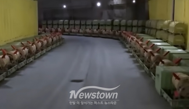 미국의 벙커버스터에 의해 입구가 파괴된 것으로 알려진 이란의 지하 미사일 저장고/TV조선 뉴스화면 캡처