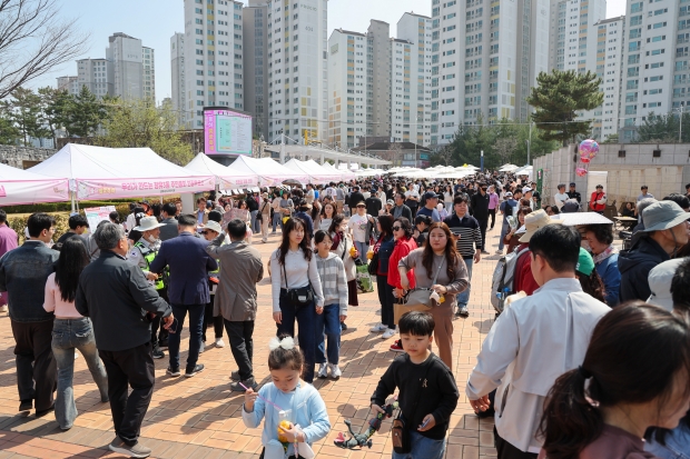 제7회 율하벚꽃축제/사진 김해시제공