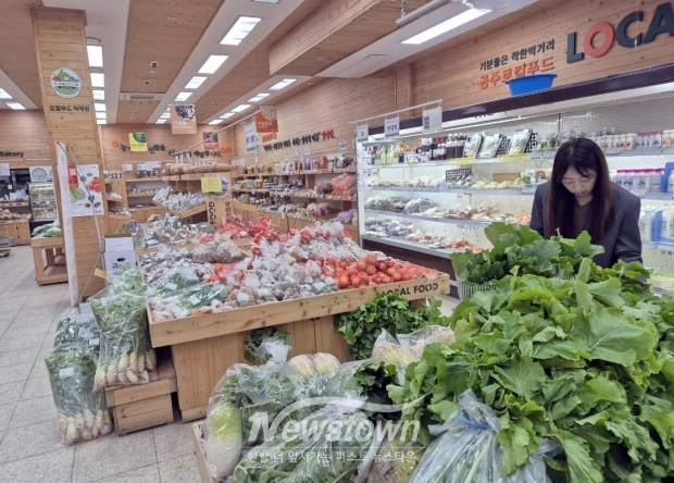 유통 농산물 잔류농약 안전성 검사 강화(사진 / 공주시 제공)