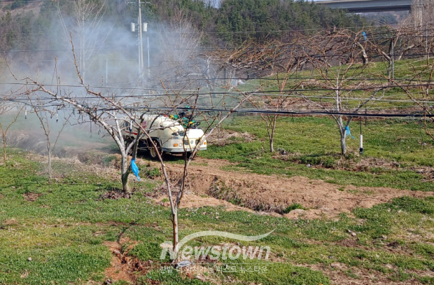 과수화상병 돌발해충 방제(사진 / 공주시 제공)