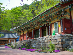 충남도, 금산·청양 사찰 건축유산 ‘보물’ 승격