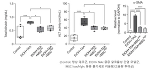 파미셀 줄기세포치료제, 중증 알코올성 간염 개선 가능성 확인