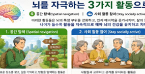 ‘뇌 노화’를 늦추는 즐거운 방법 3가지